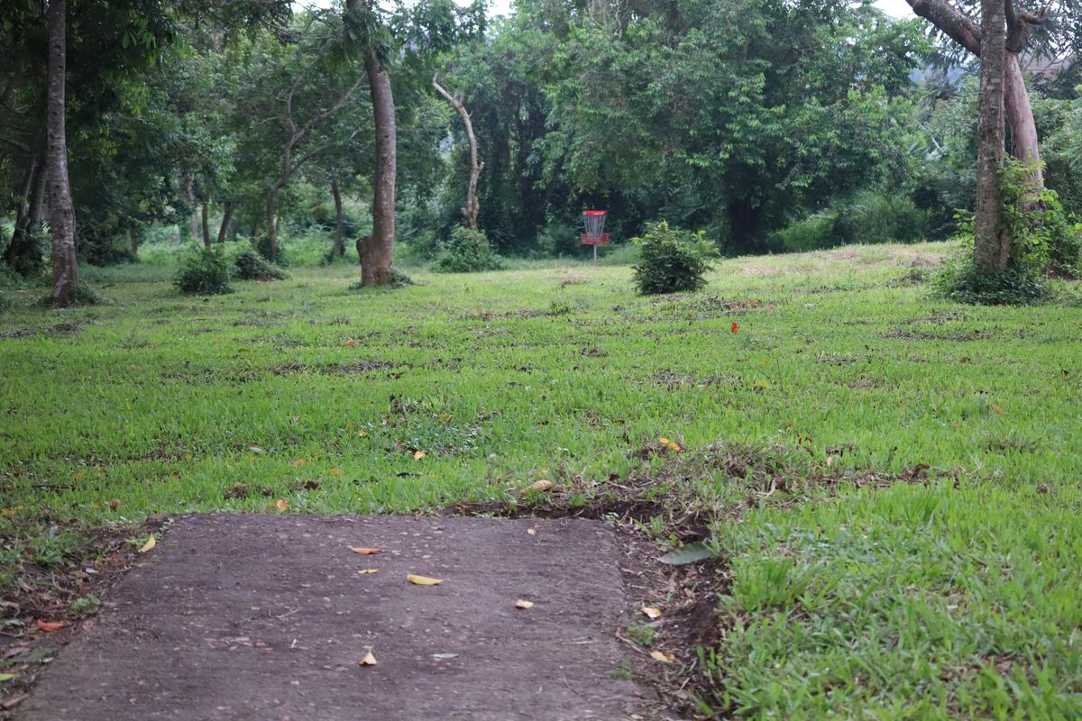 Hole 2 Short Tee