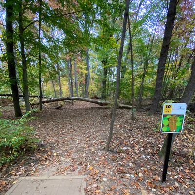 Hole 10