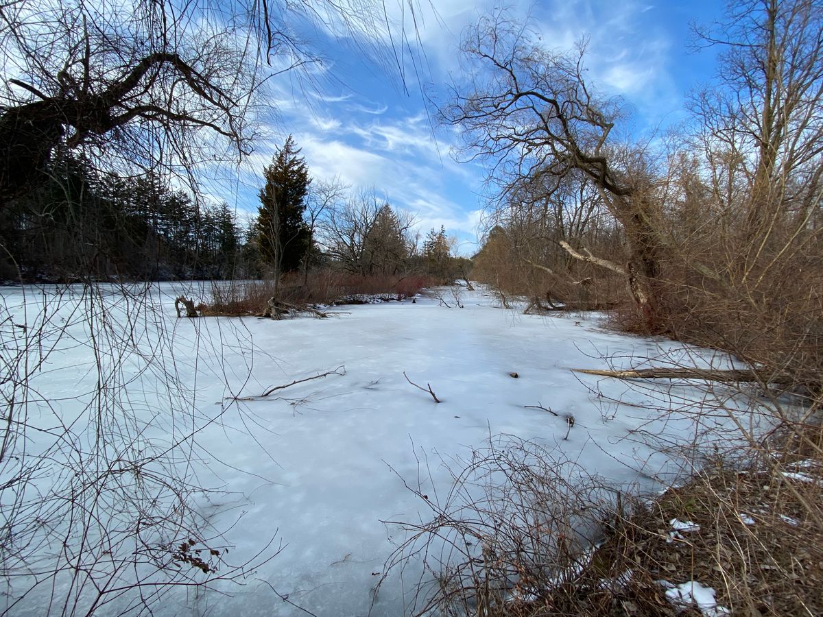 Frozen Pond