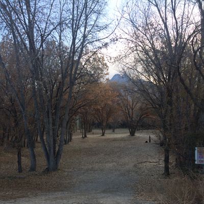 Hole 9 Tee Pad