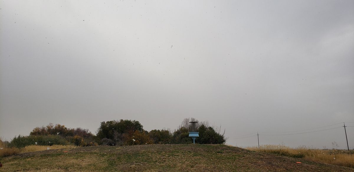 2nd green, "elevated"