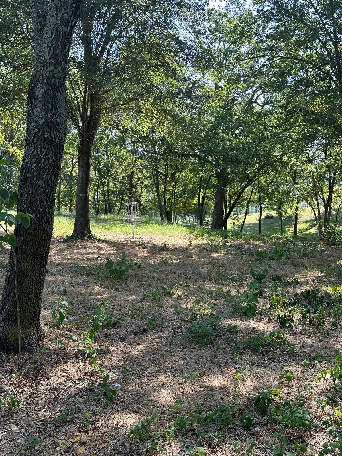 Hole 2 basket Mulberry Arkansas Disc Golf Course