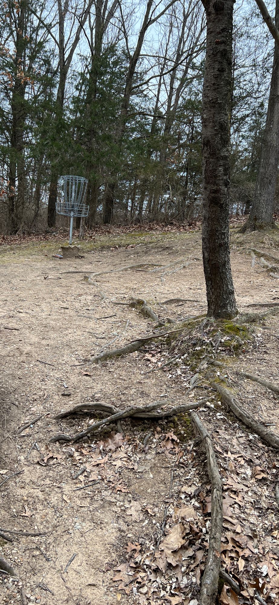 Hole 15 basket March 27, 2025