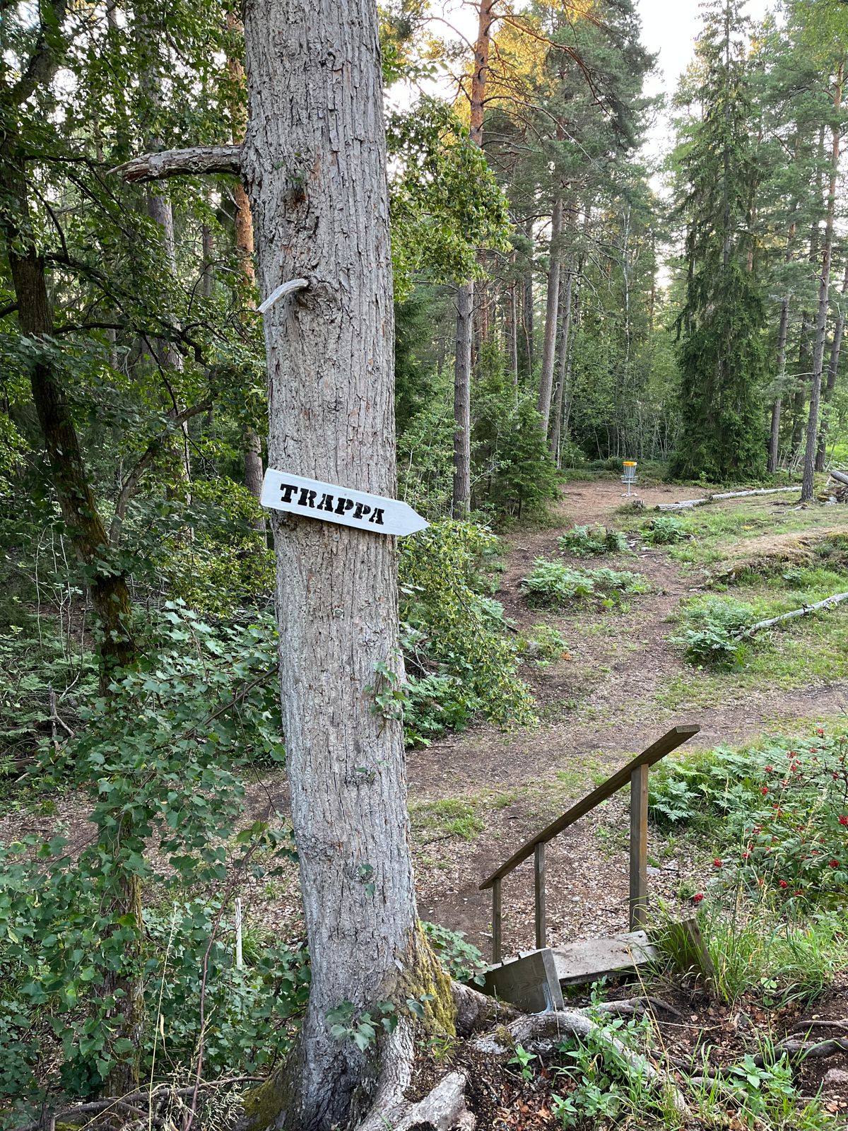 Hål 14