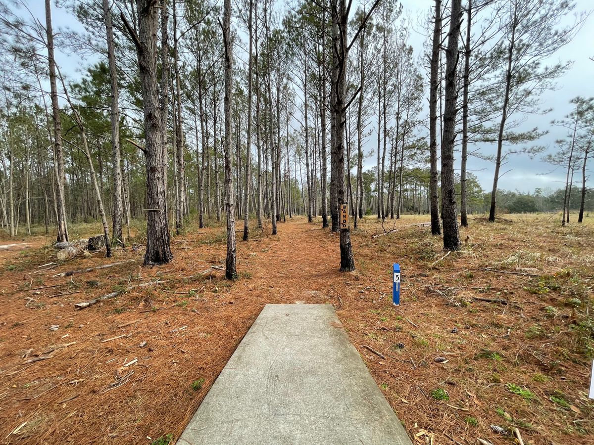 Hole 5