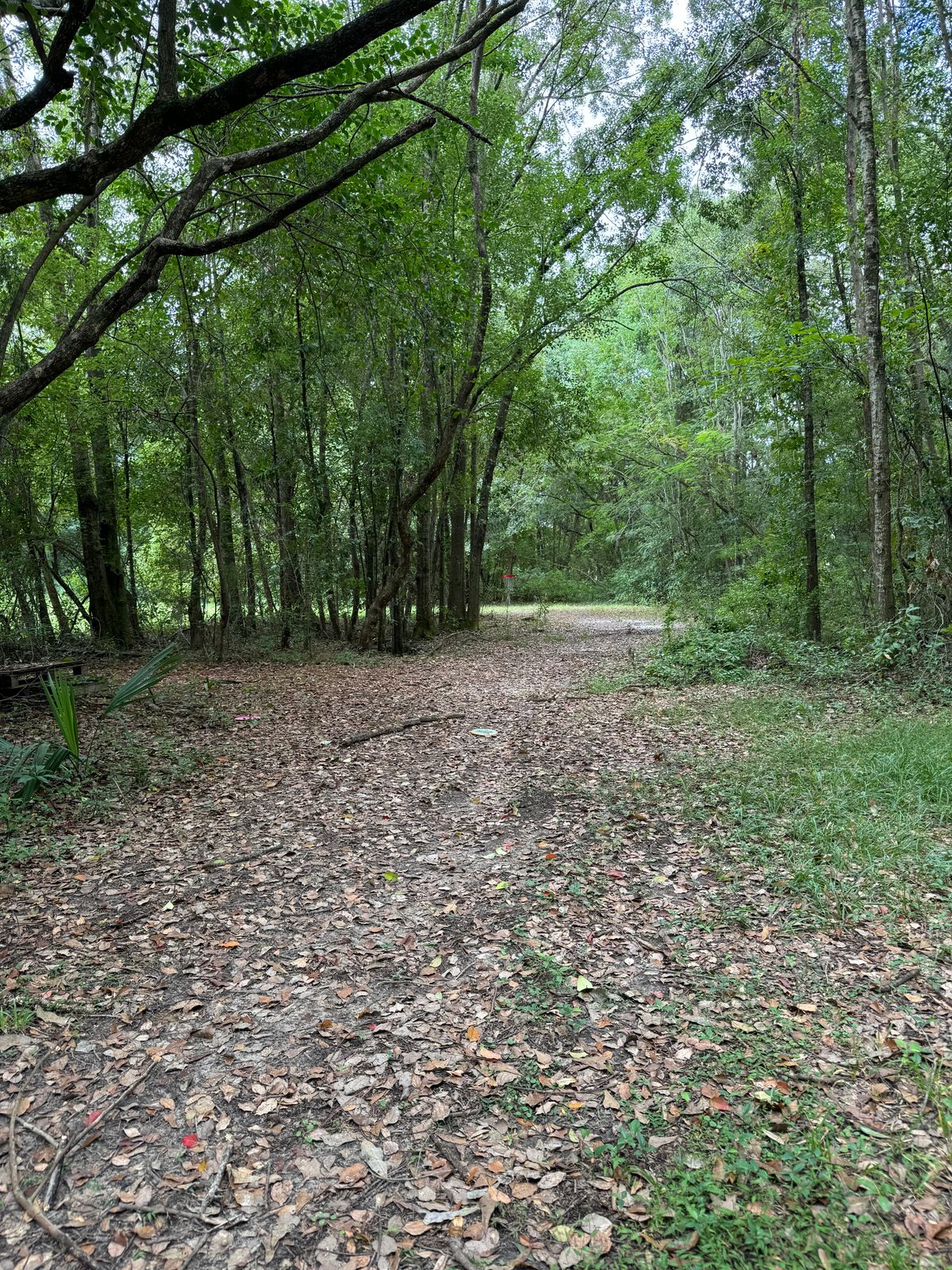Hole 11 mid fairway