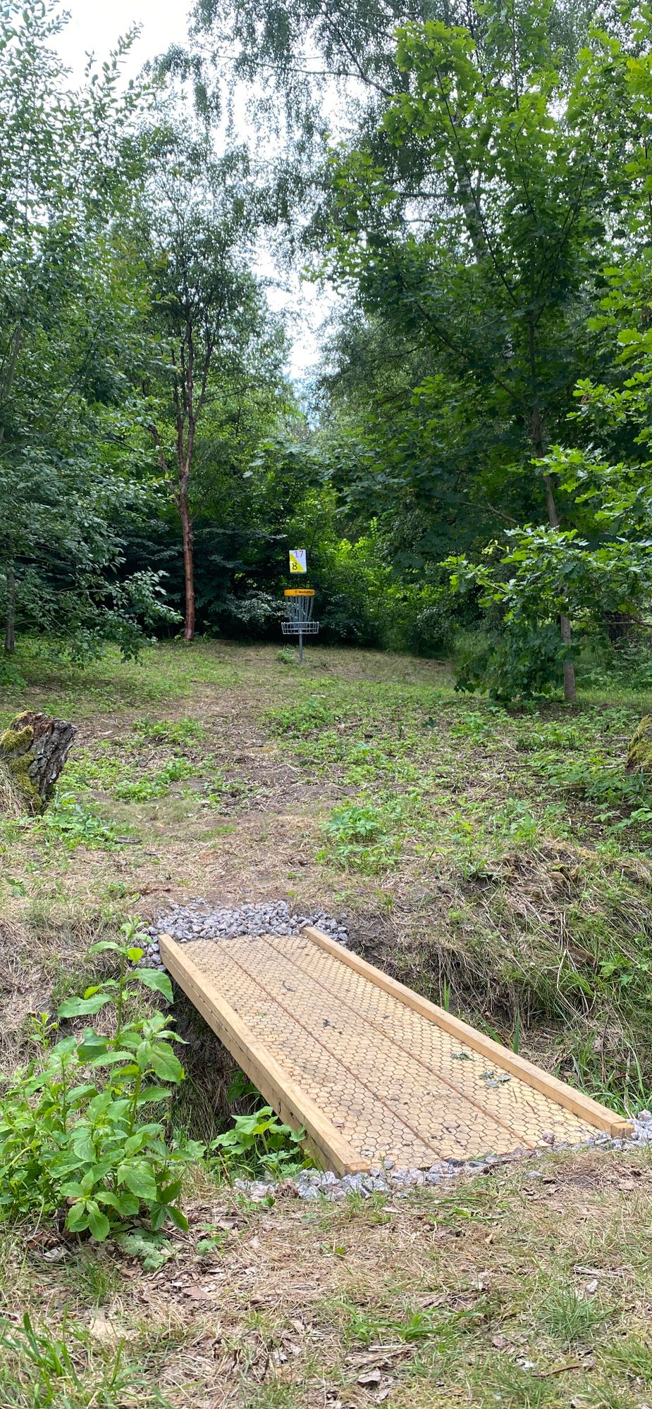 Hole 8, bridge to green.