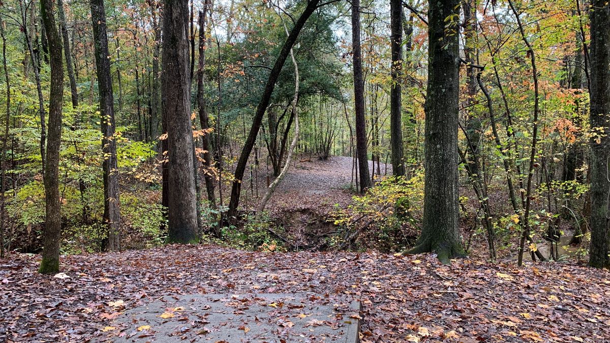 Hole 6