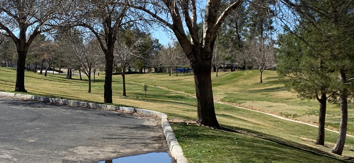 Look at open field around No.9