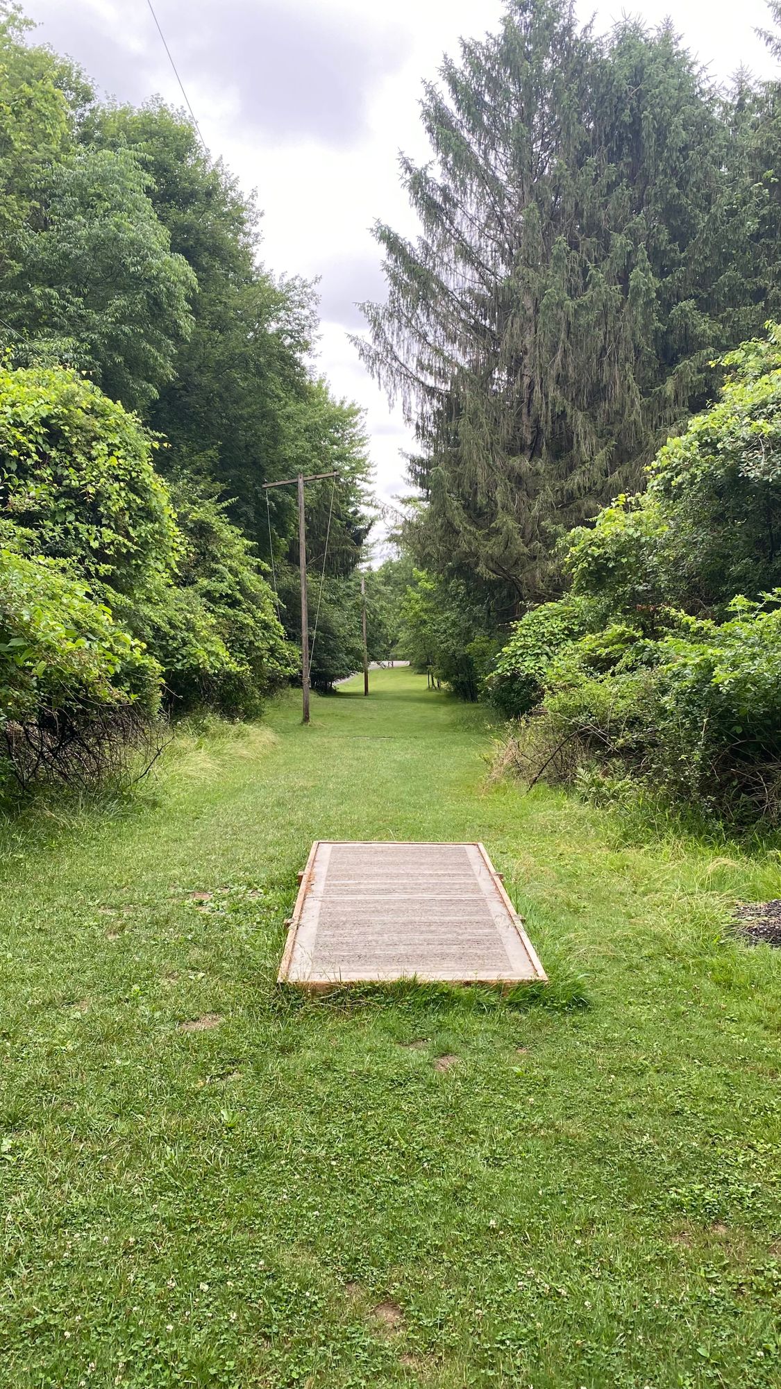 new tee pad (hole 7)