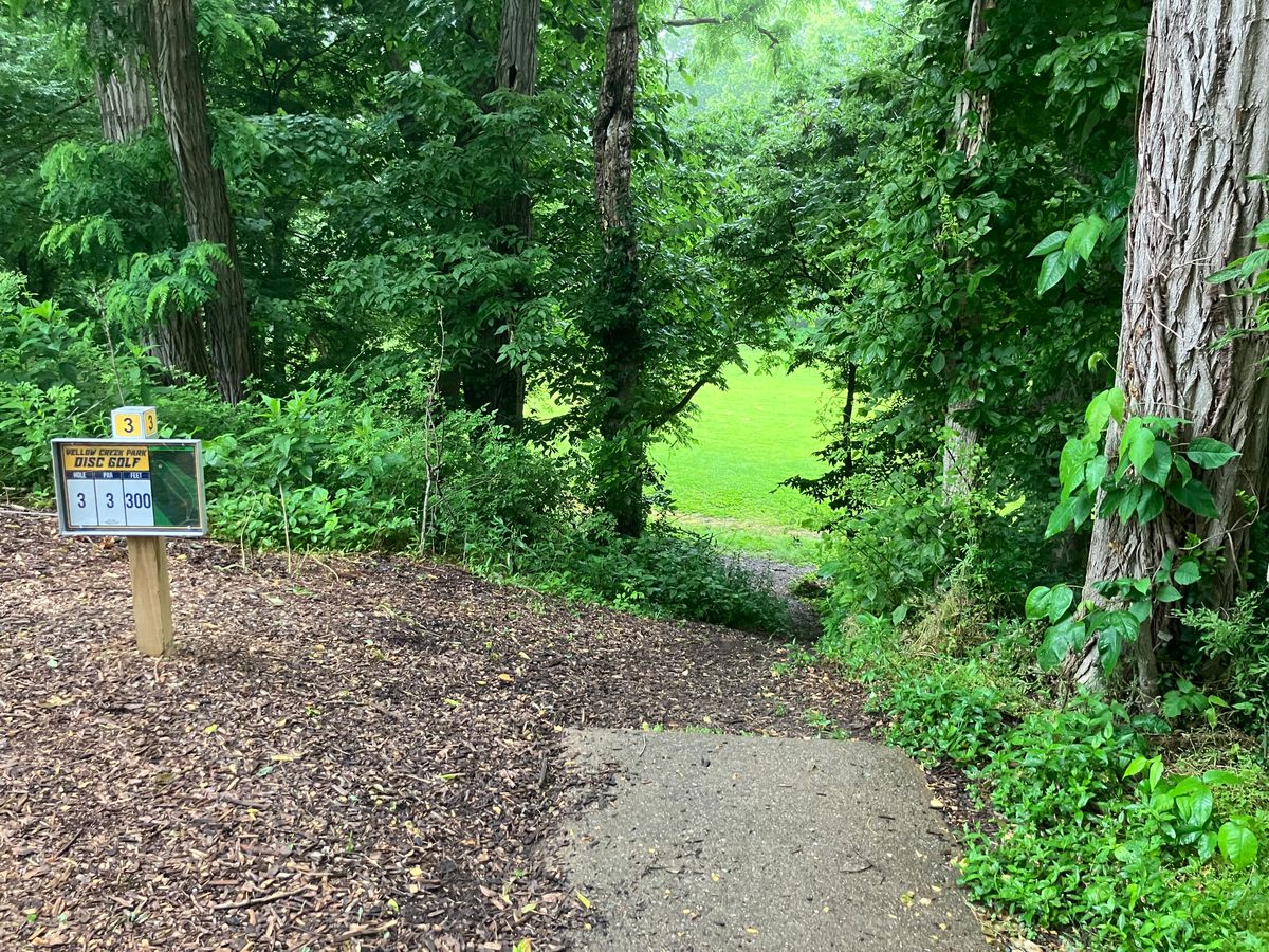 Hole three 300’ shot shooting from an elevated hillside tee into a valley.
