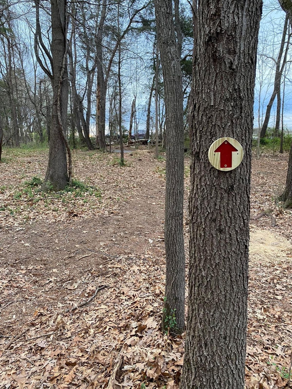 Directional arrows installed on all holes. Yellow points to Martin’s Mill tees, red to Grist Mill