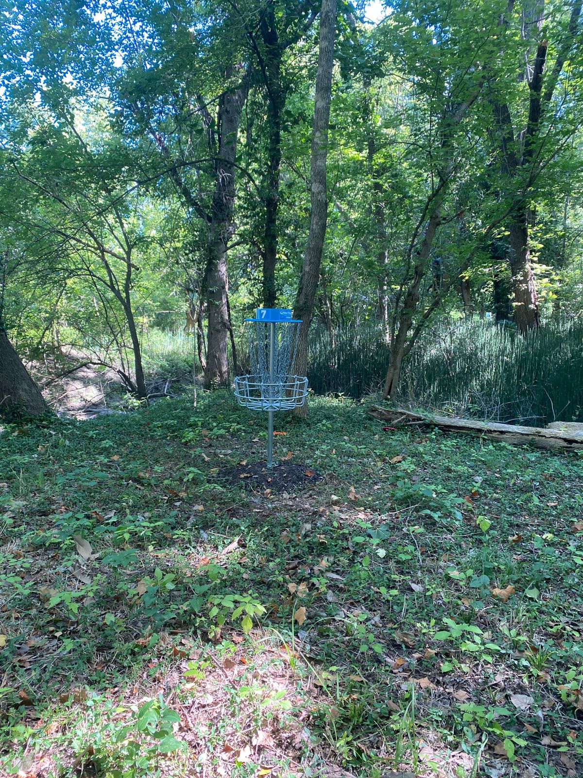 Basket 7 in C position