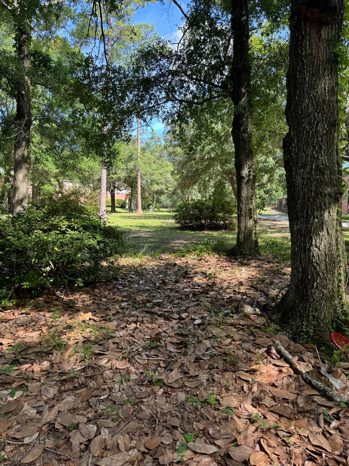 Hole 5