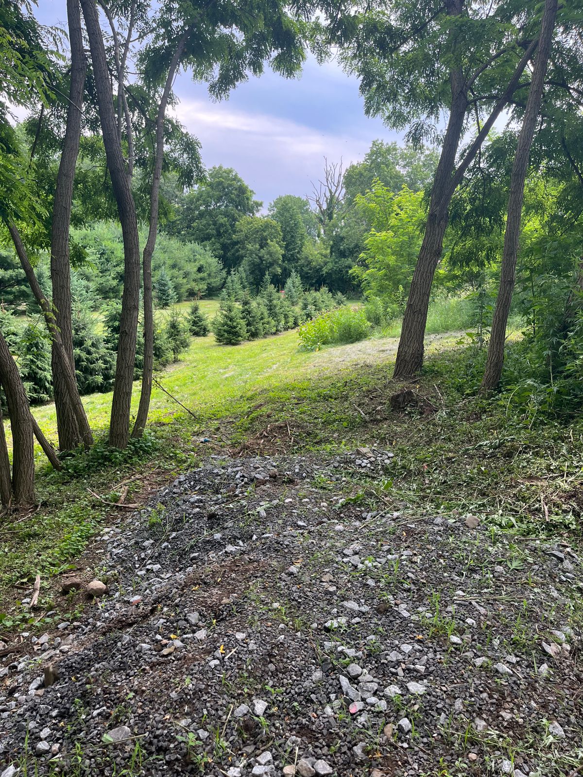 Hole #3 Red Tee