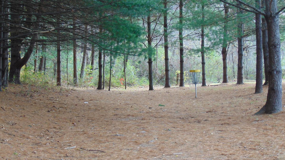 Hole 4