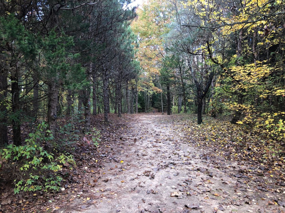 Hole 16 short teepad