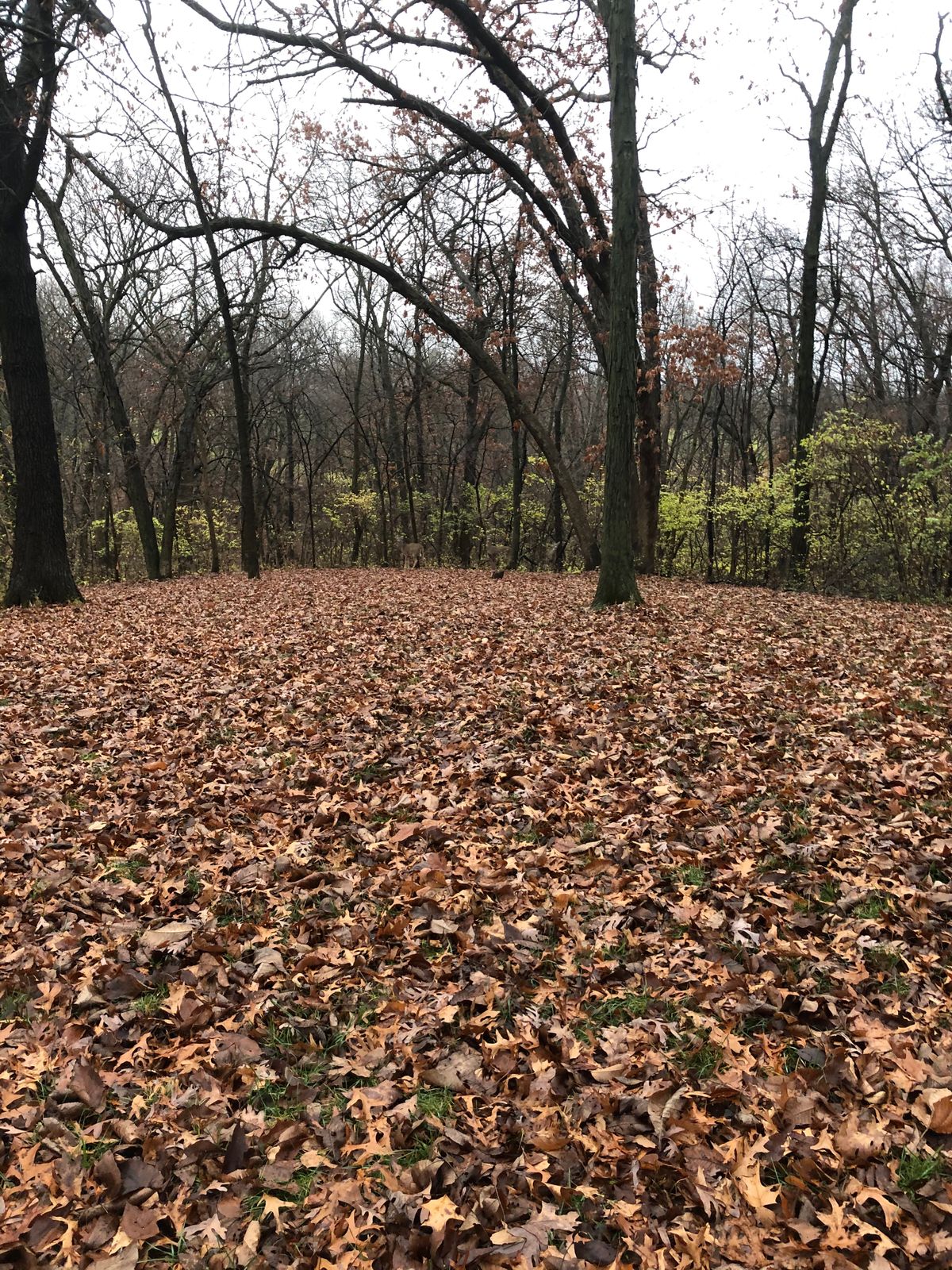 hole 3