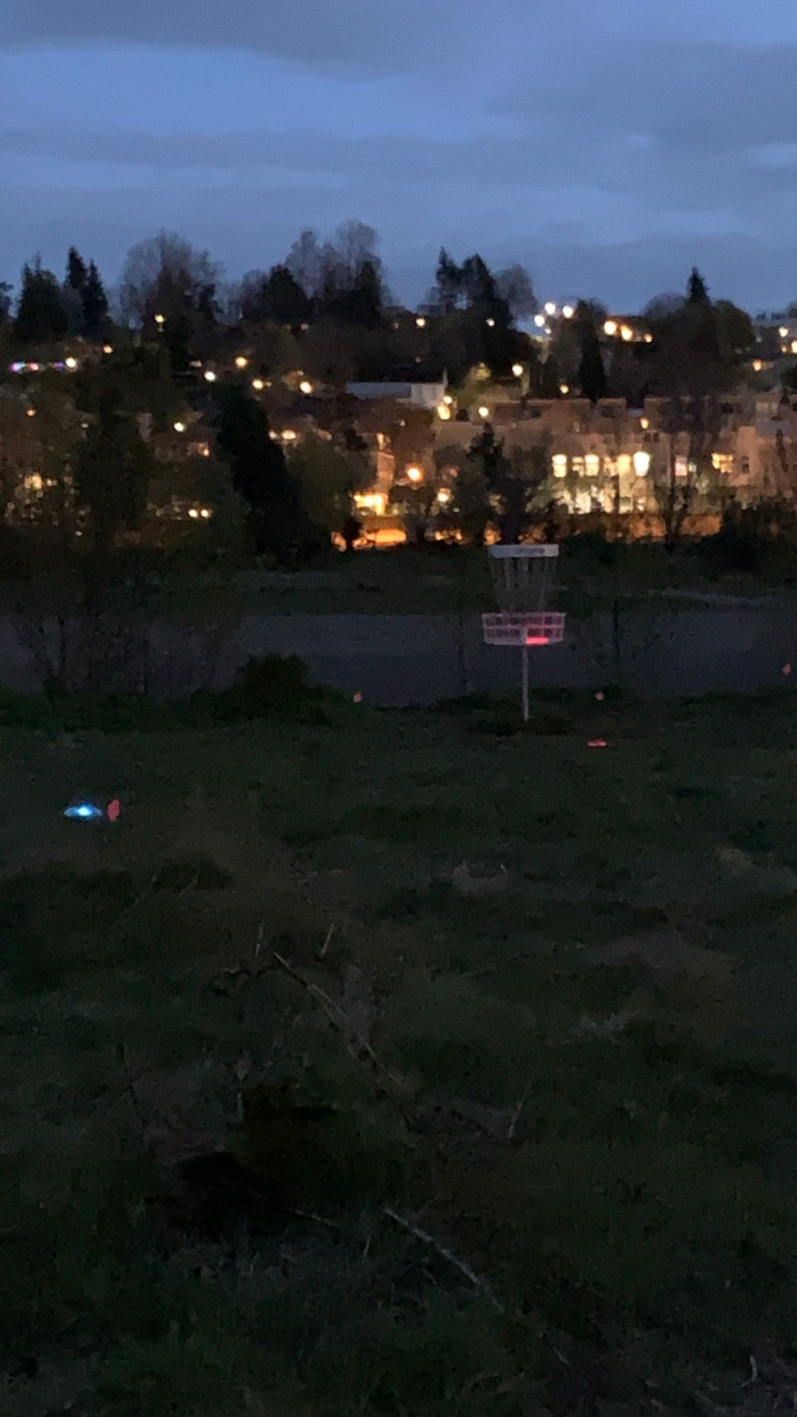 Birdie in basket on hole 5 Redux map / hole 12 main map..
View of Troutdale at dusk in background..