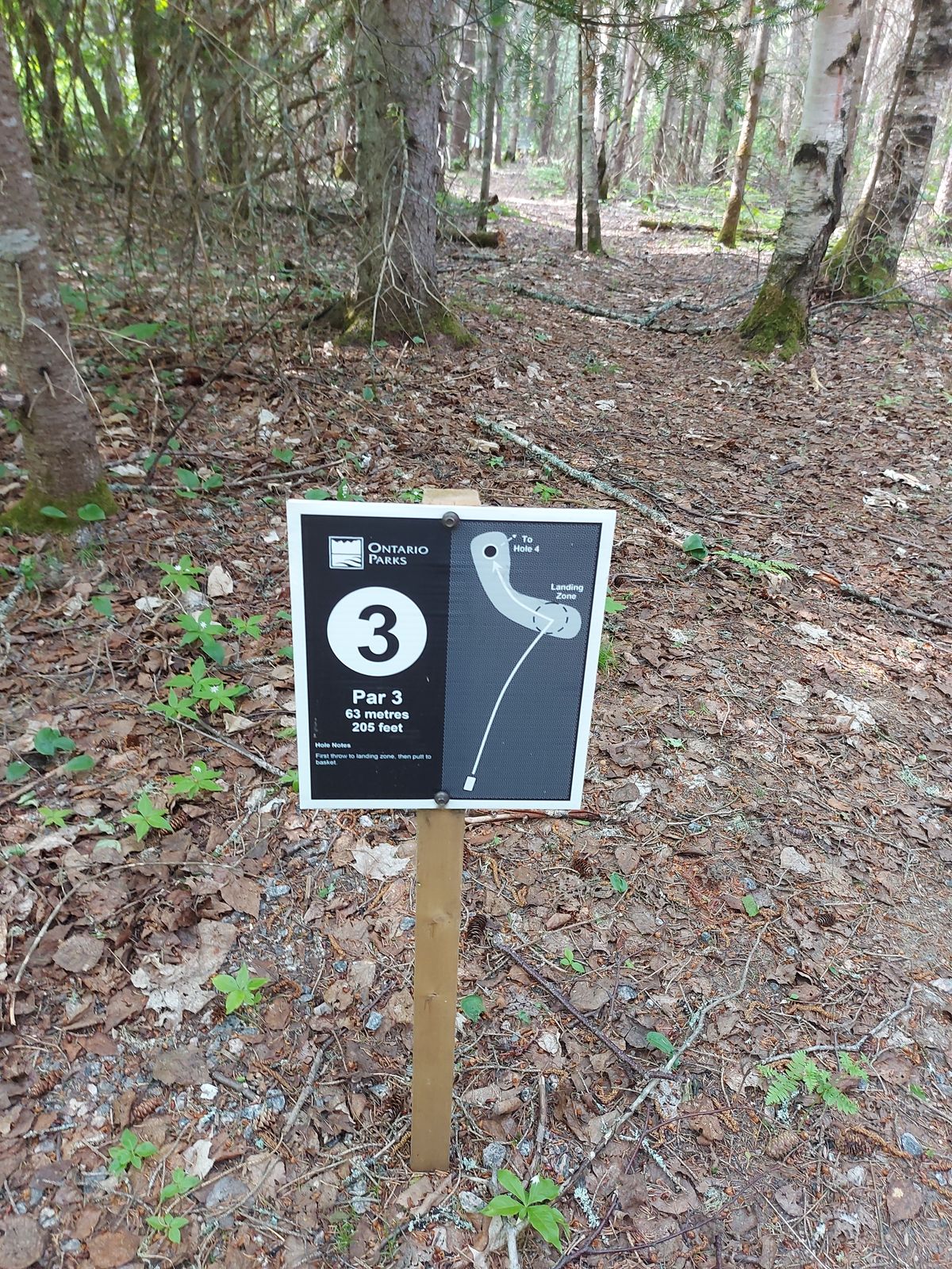 Hole sign 3. 205ft 🍁🌲🍁🌲🍁🌲