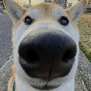 User avatar image