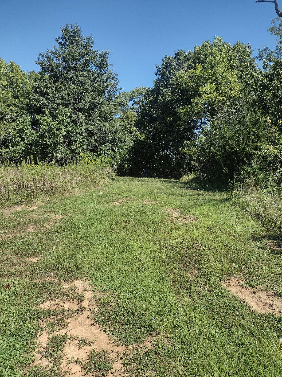 Hole 6 Basket