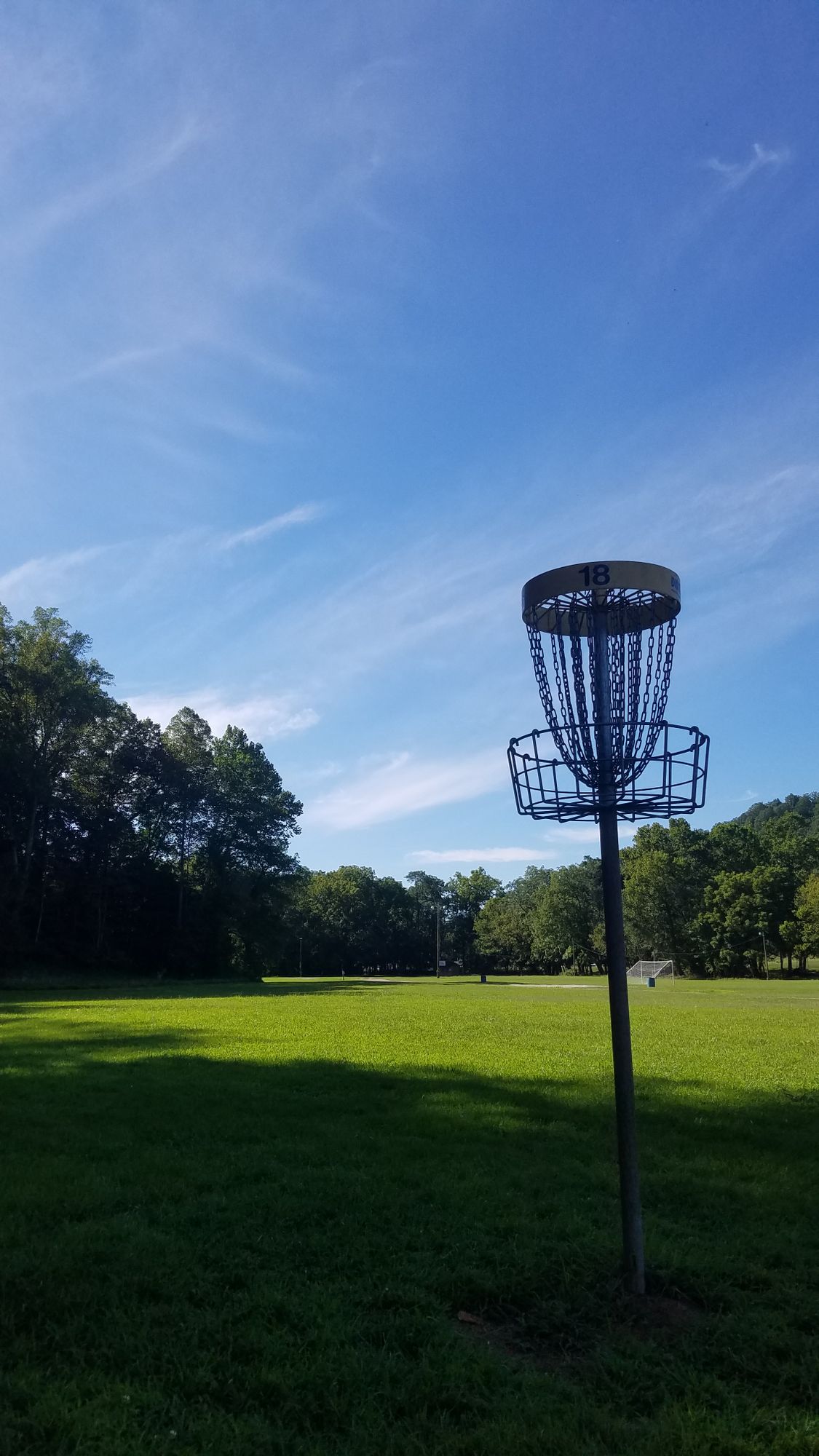 Elevated Basket #18