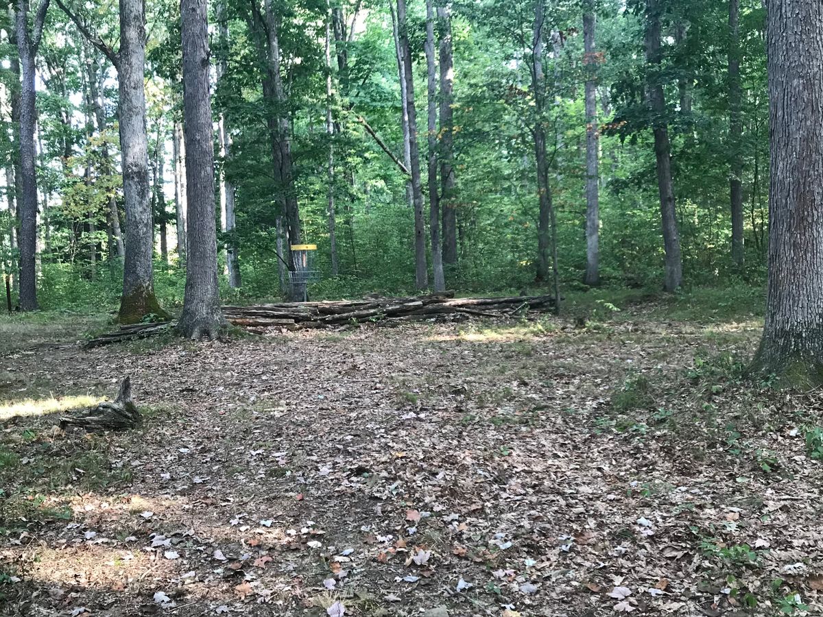 #8 fairway/basket