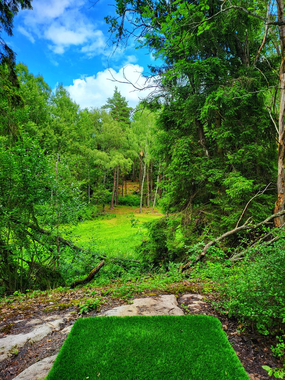 Tee hole 4