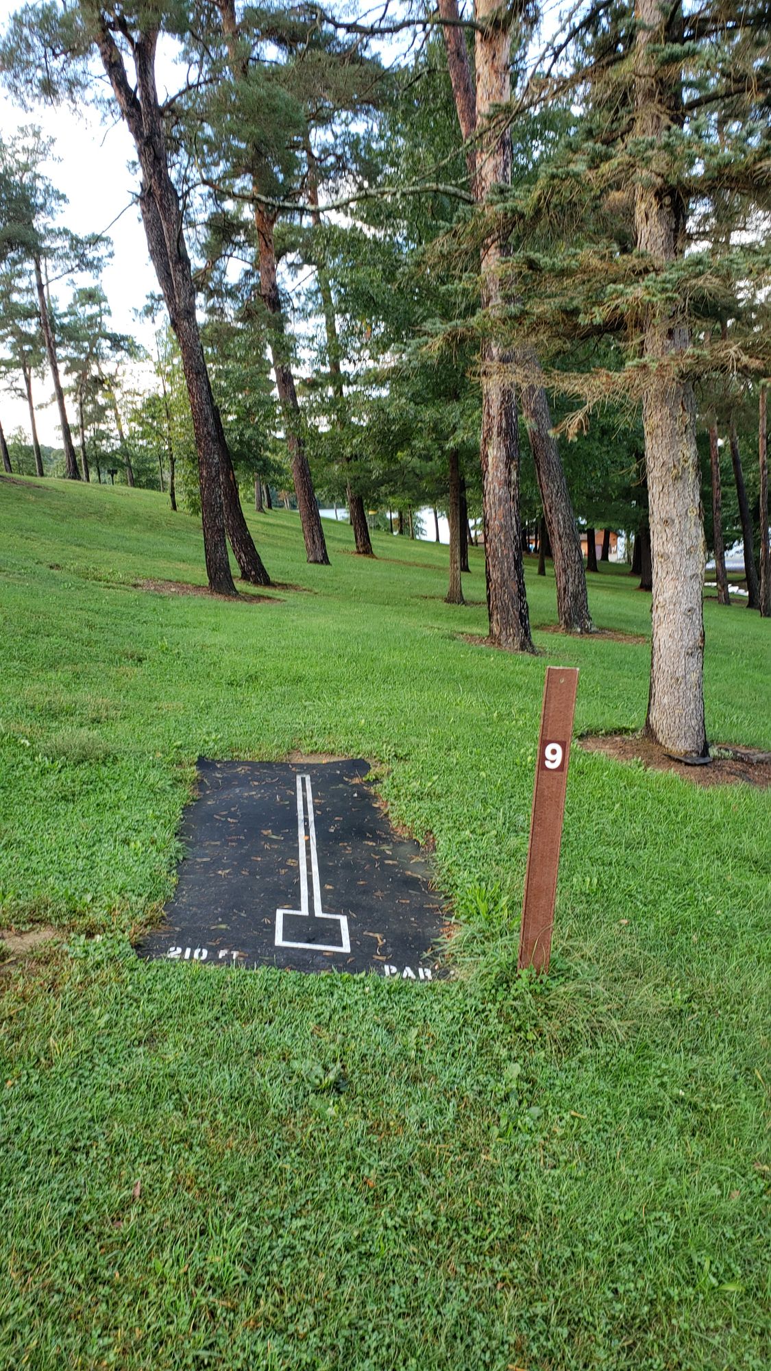 Hole 9 tee