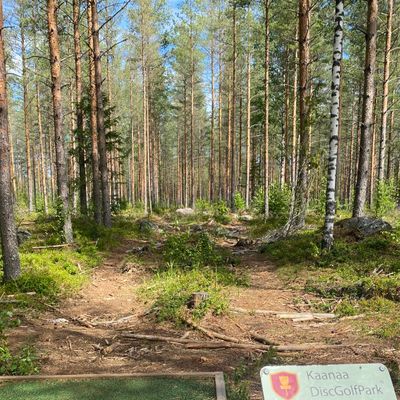 Course photo