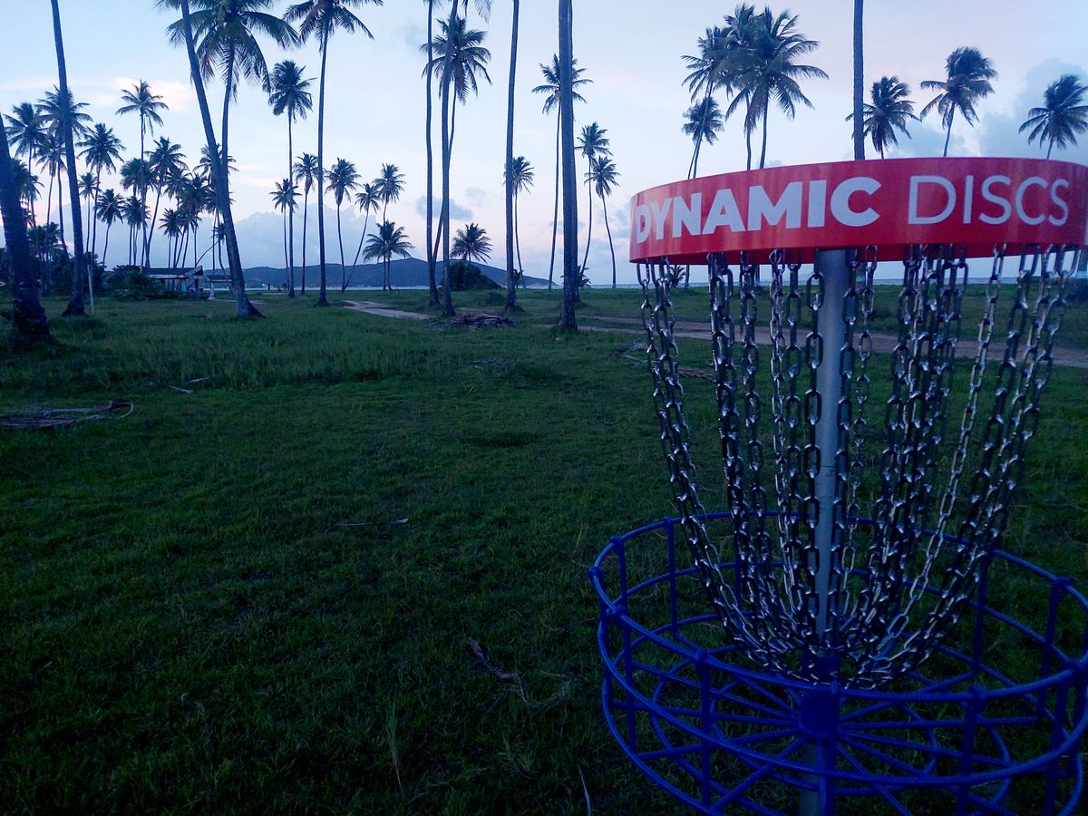 Basket 14