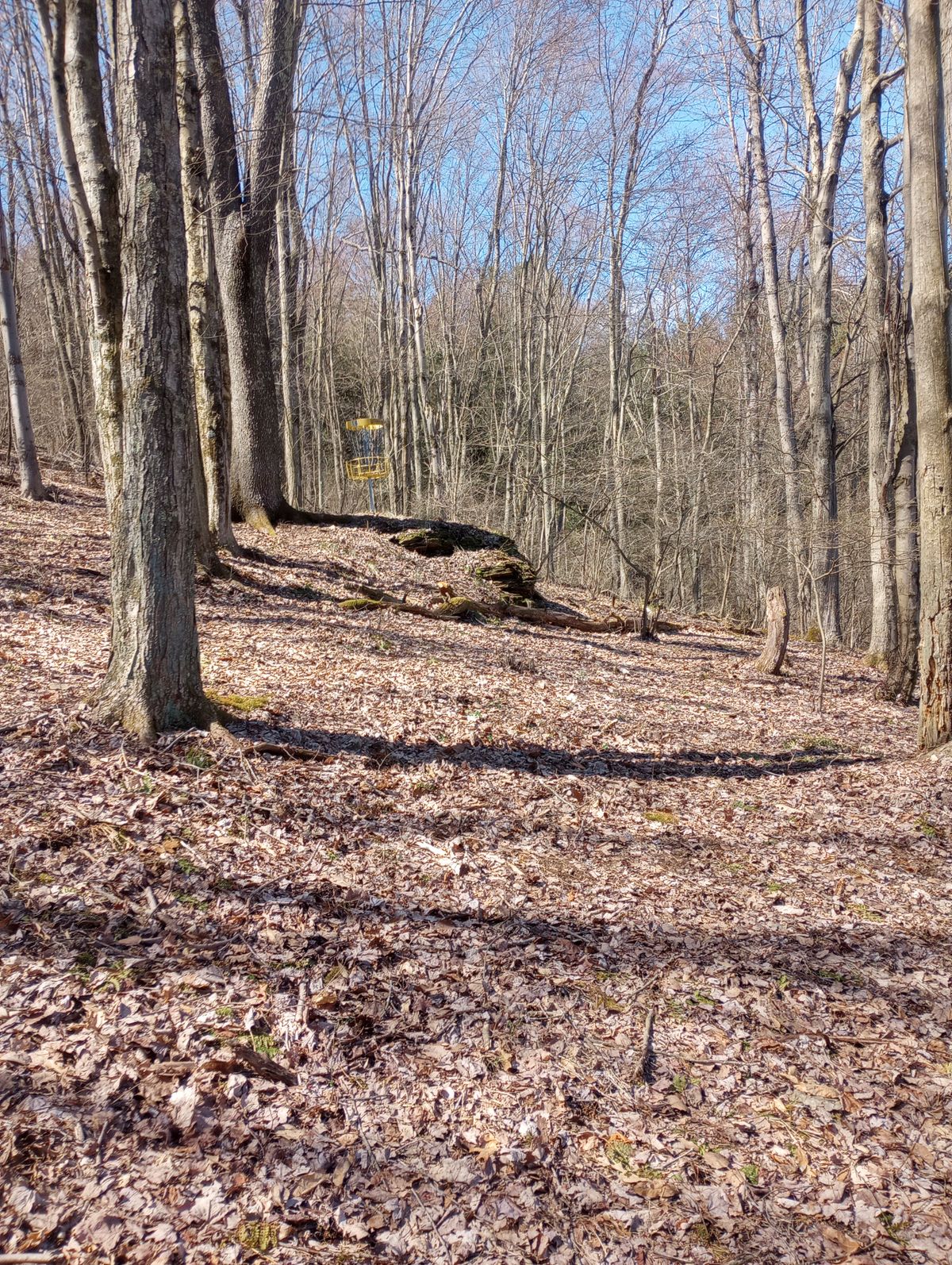 Hole 16 approach (new)