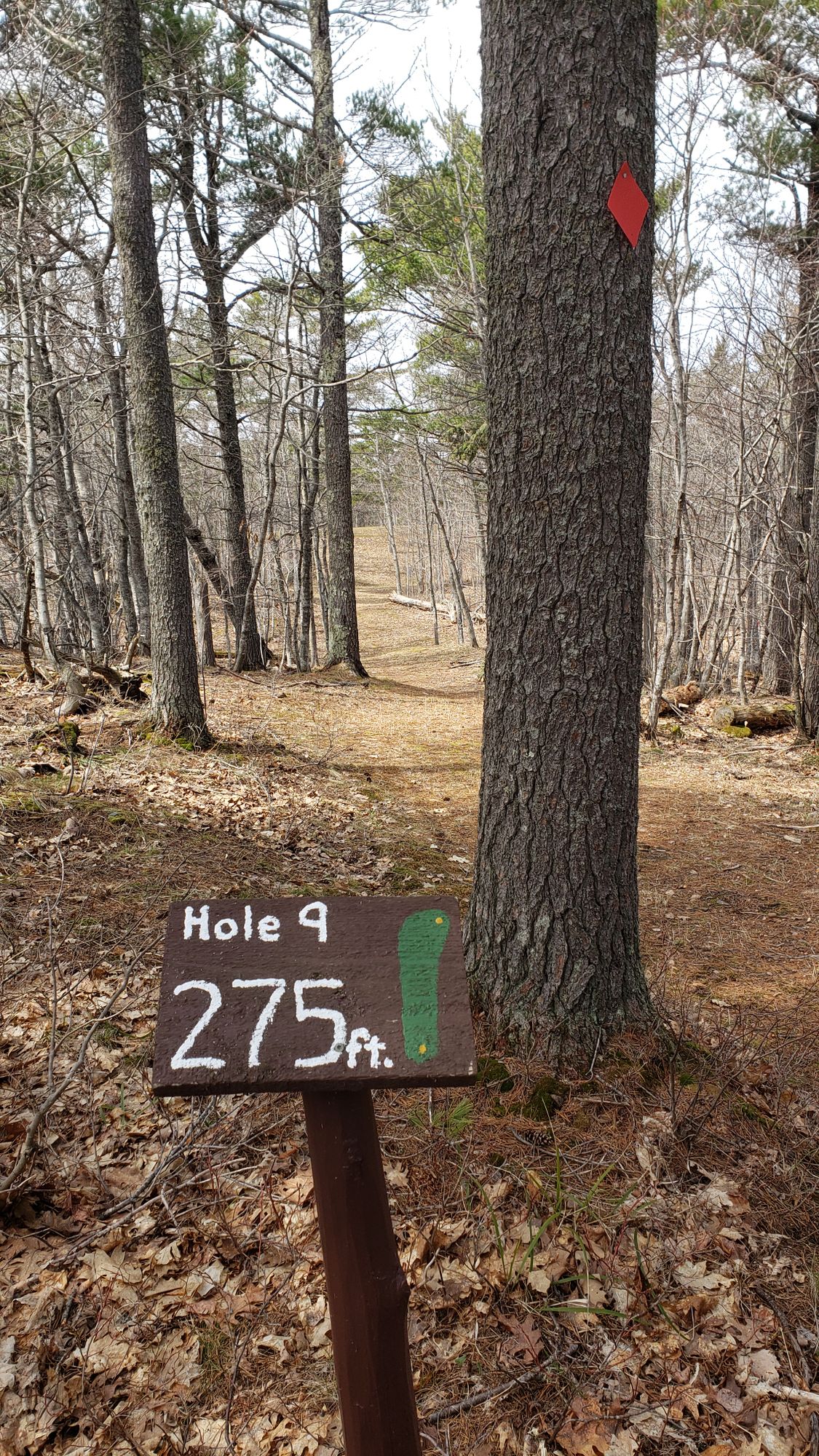 Hole 9