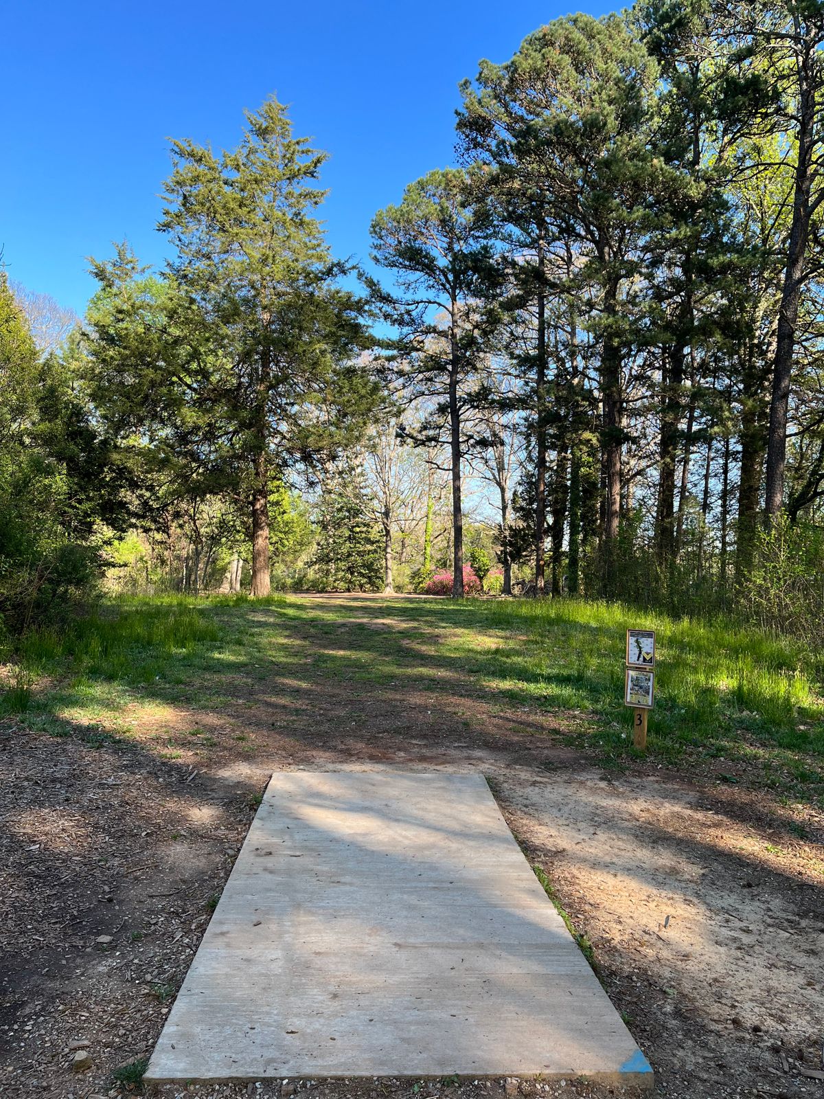 Hole 3 Long from the Tee