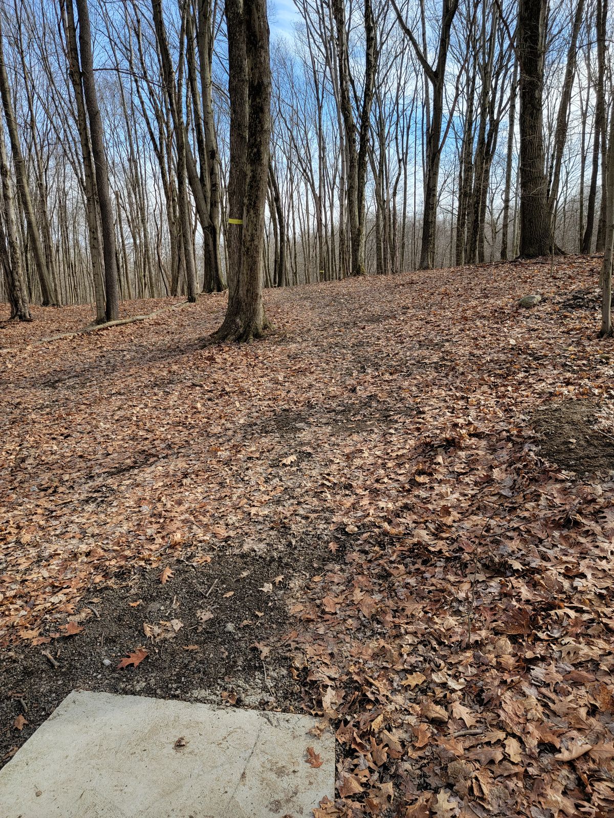 Hole 4 Tee