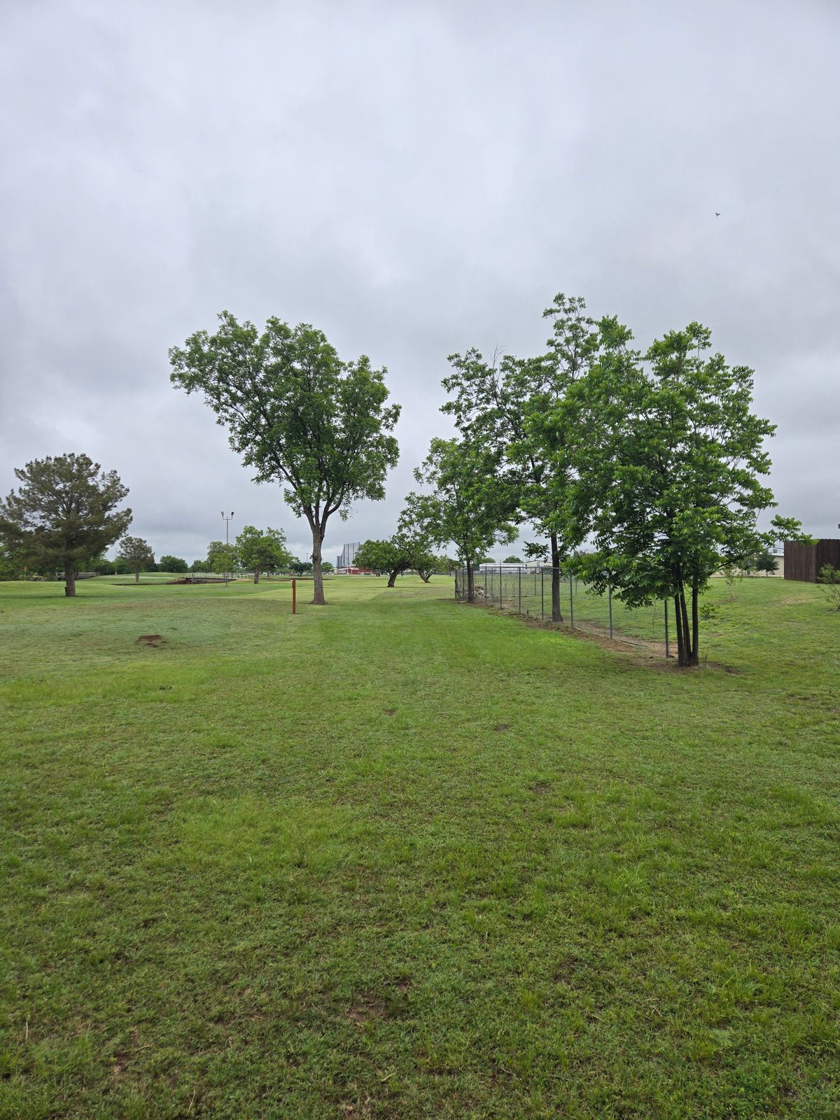 Hole 8 Tee