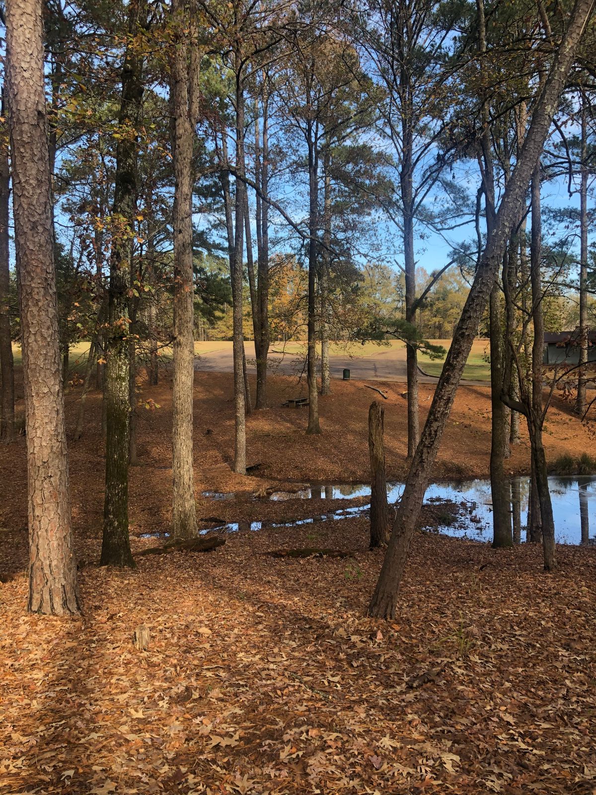 Hole 15