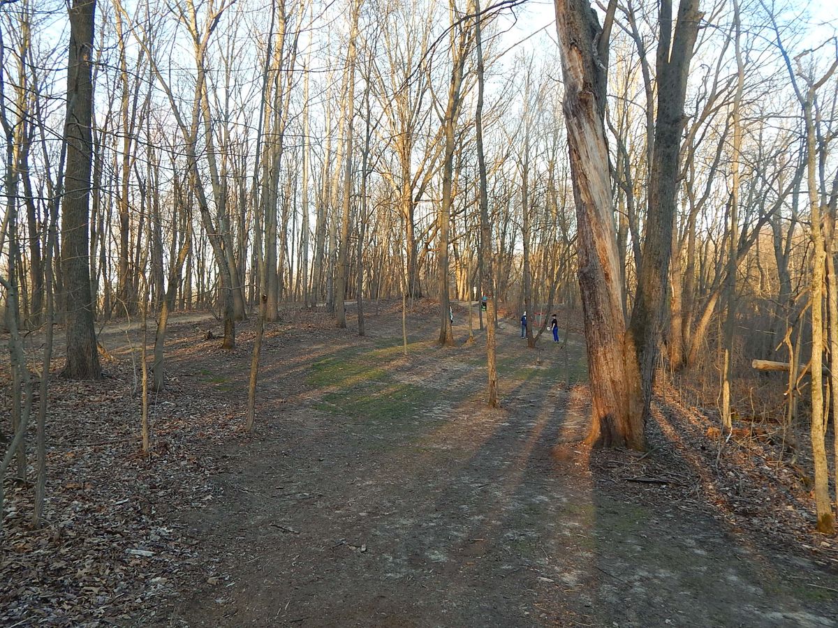 Hole 12 fairway, basket slightly to the right, at the midpoint of the hill