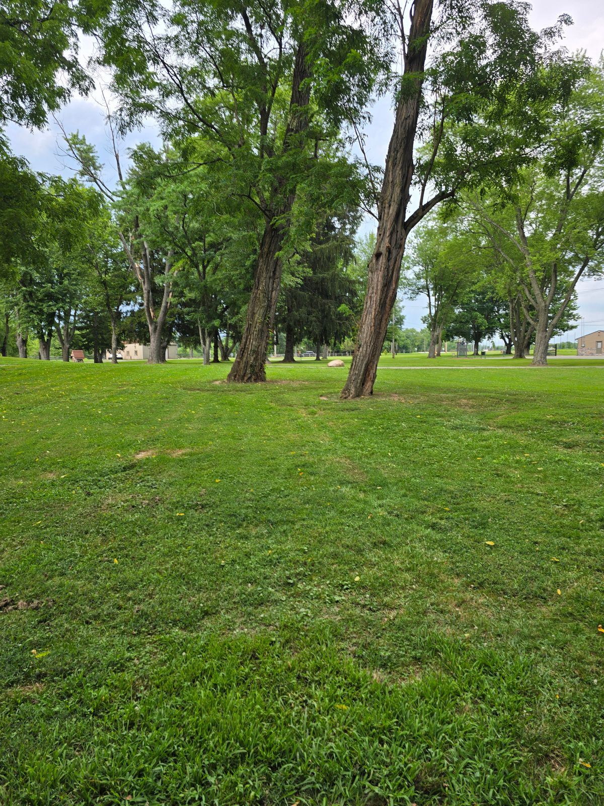 Hole 3 tee shot
