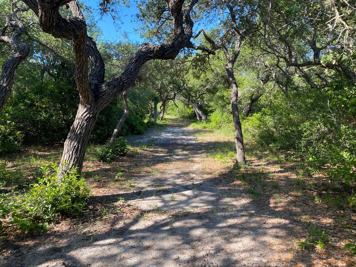 The fairway for hole 13