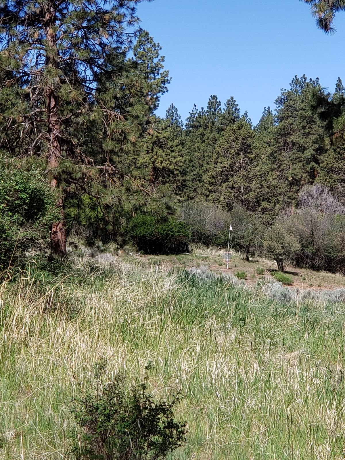 Hole 6