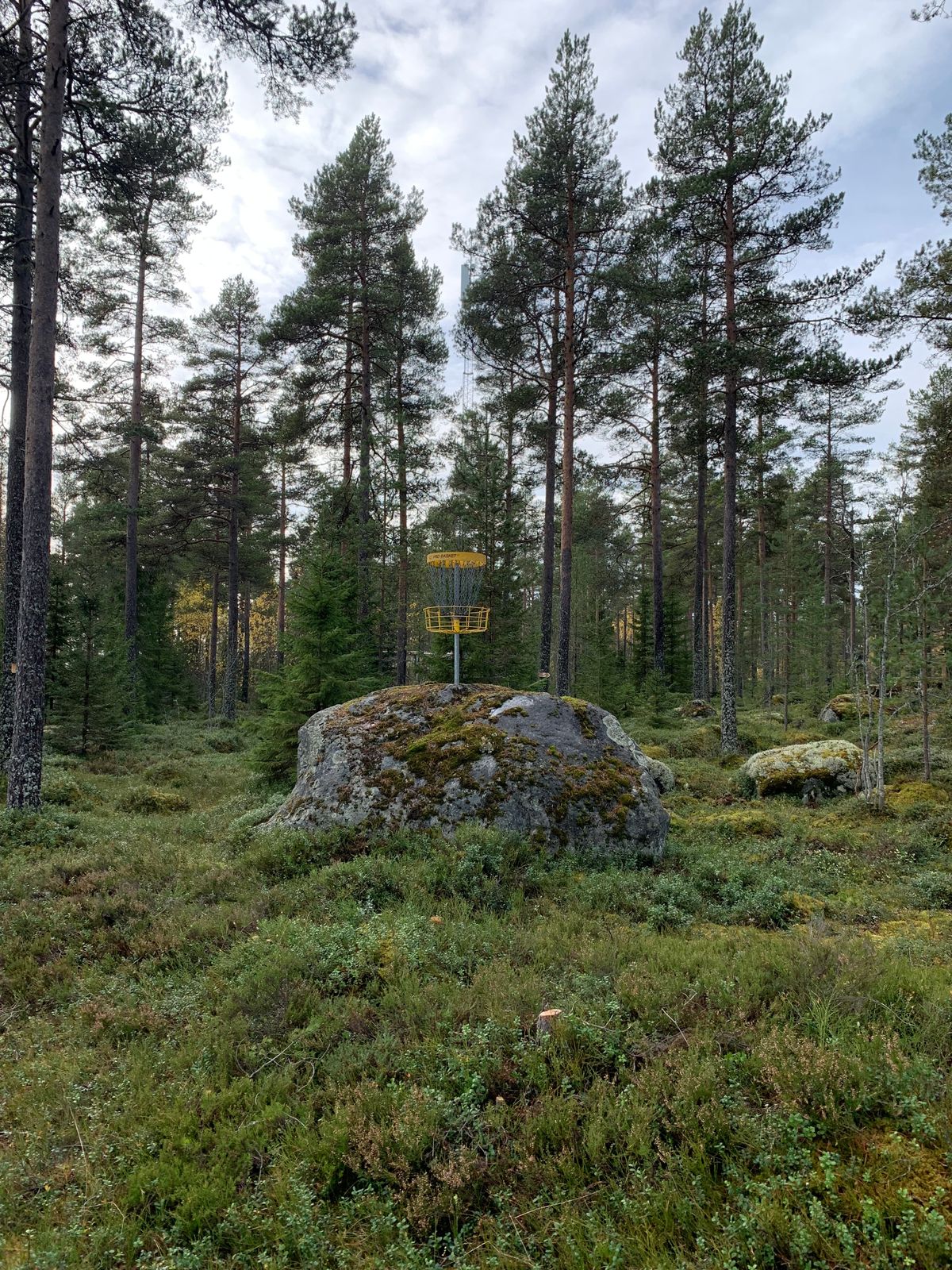 Hål 4 green