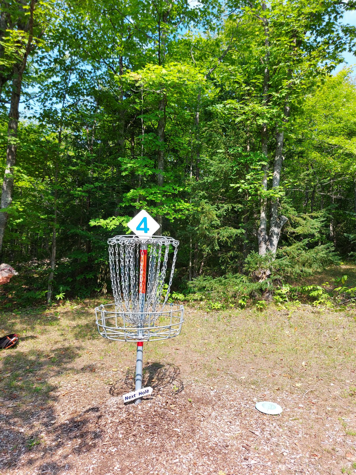 Putting on hole 4.🍀🌿🌳☘