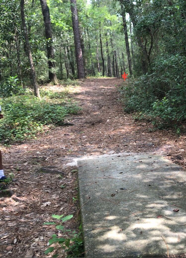 Hole 14: Uphill, but mostly straight