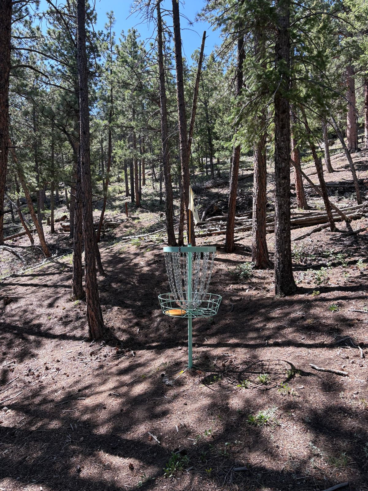 Hole 8 around the green