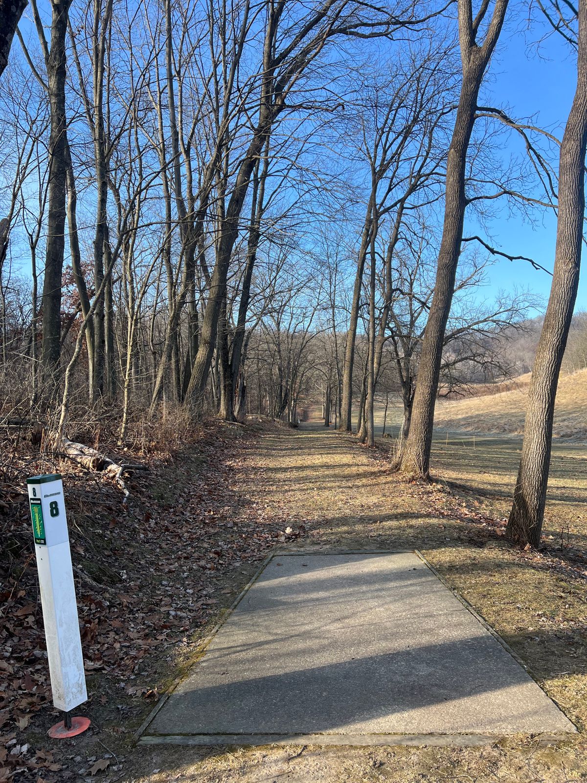 Classic Hole 8 Teepad 1/9/25