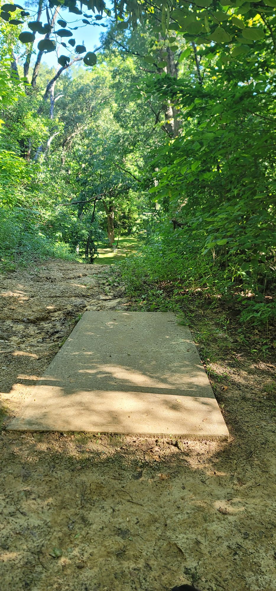 Hole 12 177' straight down hill. Try not to overthrow it