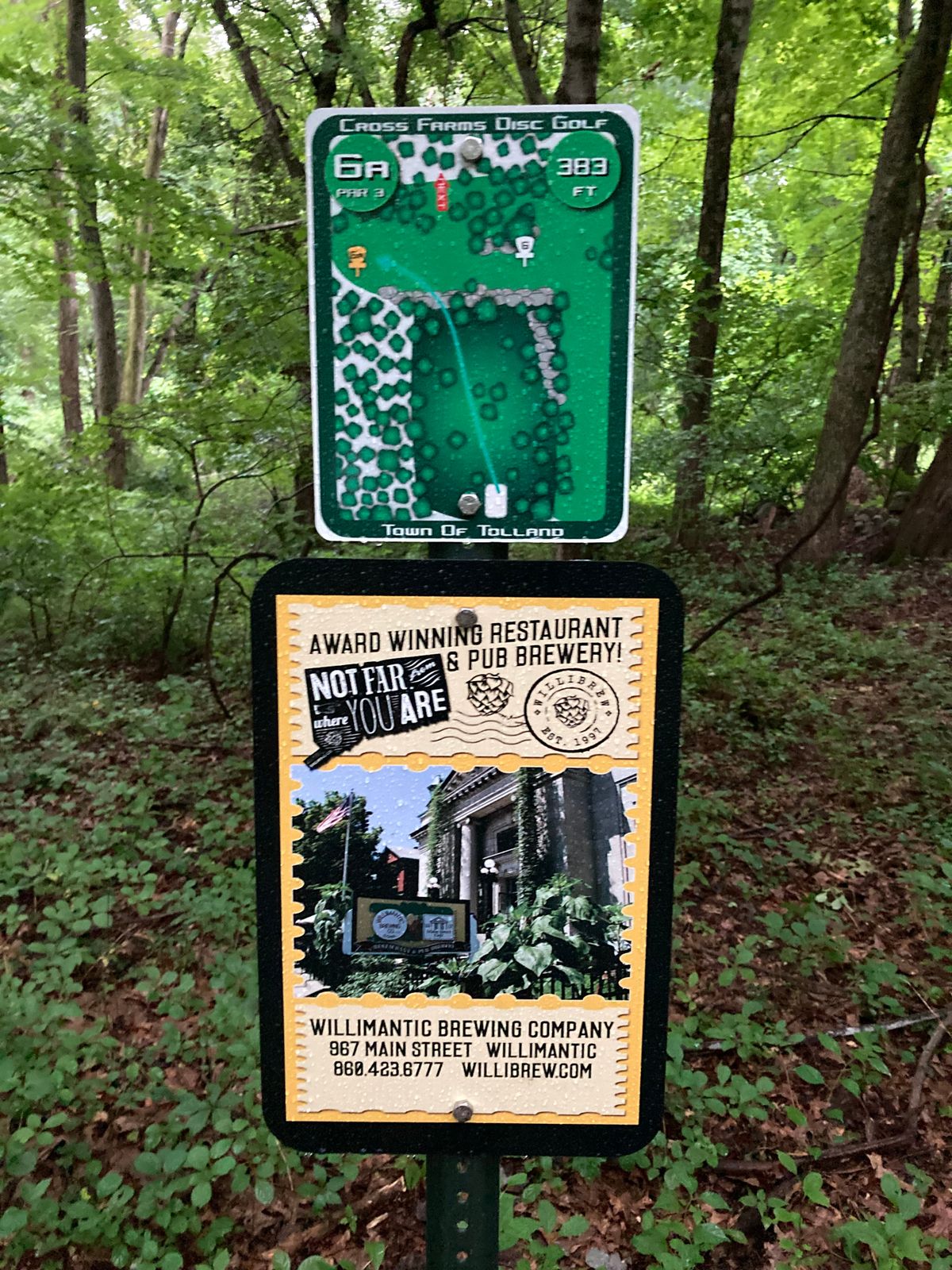 Hole 6A. Only hole on course that has 2 tee pads AND 2 baskets.