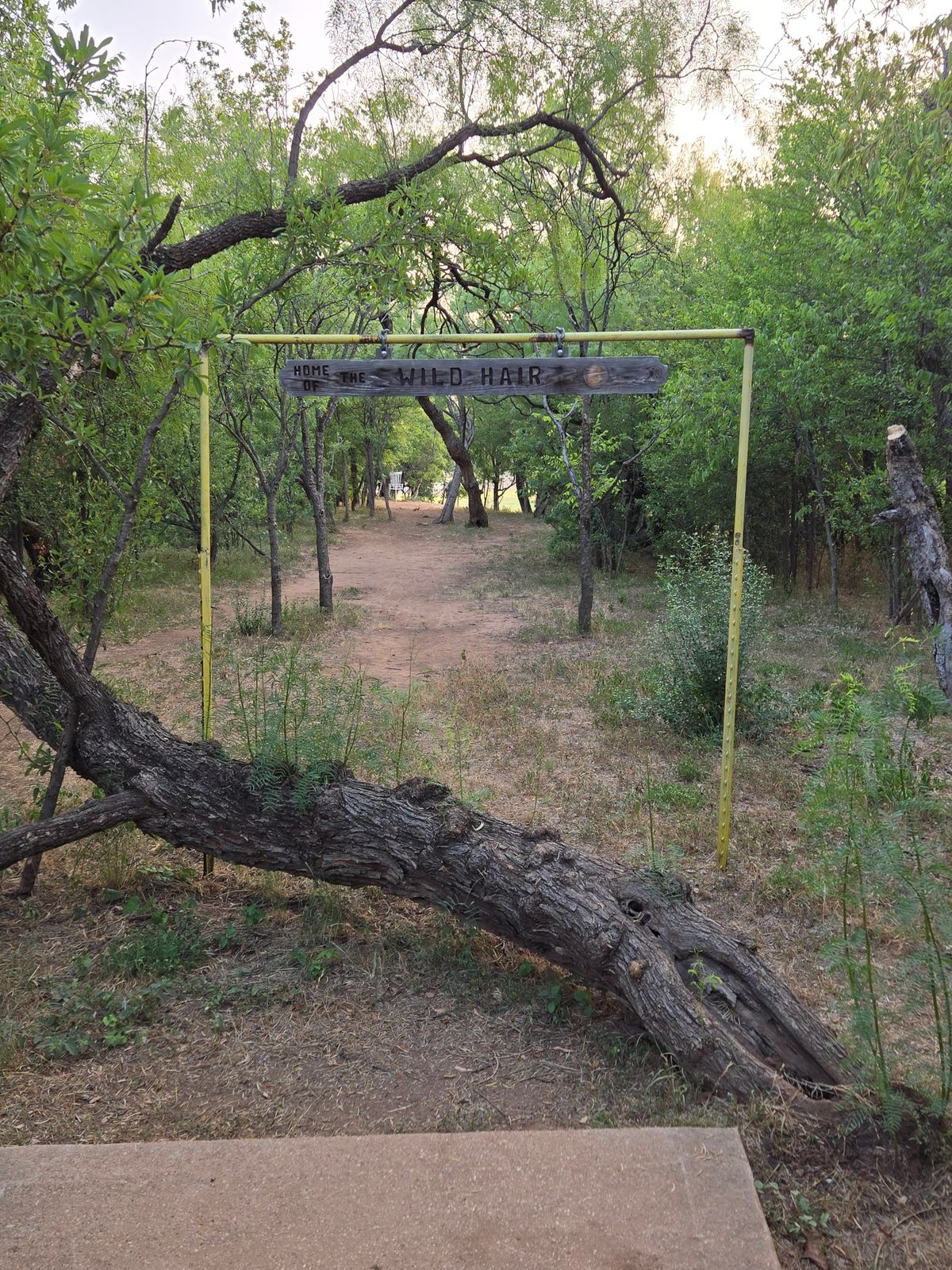 Hole 4